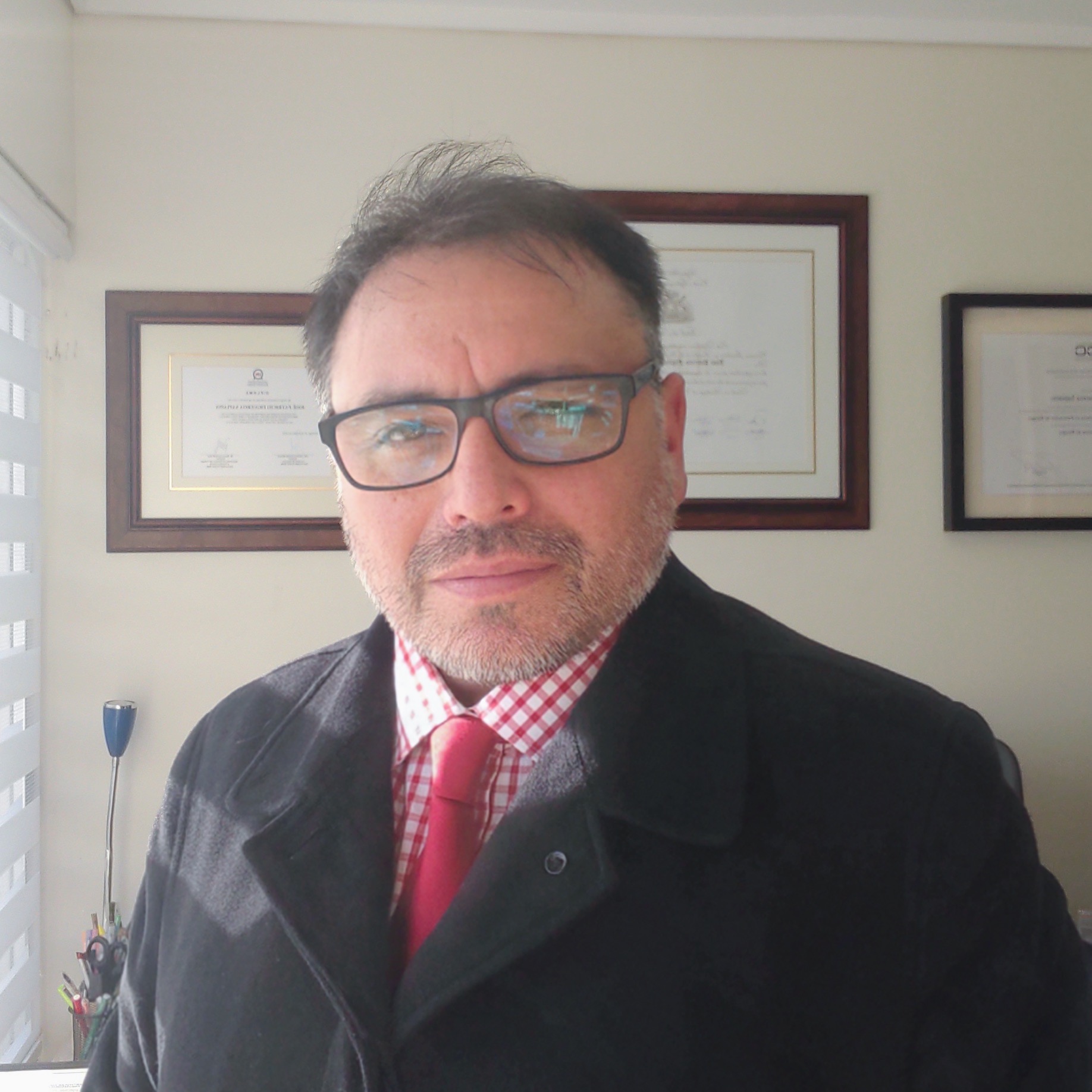 SOCIO DIRECTOR - JOSÉ PATRICIO FIGUEROA SAPIAINS